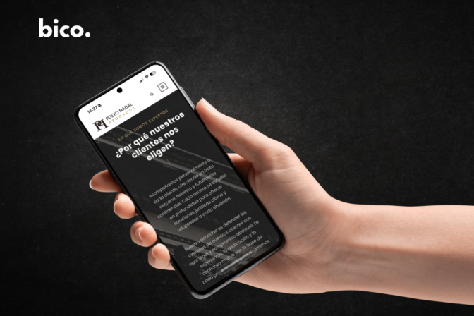 Desarrollo web_the bico agency